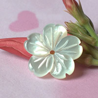 Natural White Shell Beads, Flower, 15mm Approx 1mm 
