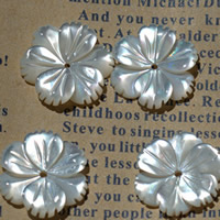 Natural White Shell Beads, Flower, 15mm Approx 1mm 