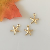 Gold Filled Extender Chain Drop, Starfish, 14K gold-filled Approx 0.9mm 