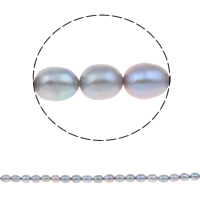Perlas Arroz Freshwater, Perlas cultivadas de agua dulce, Púrpura, 7-8mm, agujero:aproximado 0.8mm, longitud:aproximado 15 Inch, Vendido por Sarta