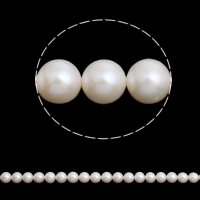 Round Cultured Freshwater Pearl Beads, natural, white, Grade AAAA, 9-10mm Approx 0.8mm Approx 15.5 Inch 