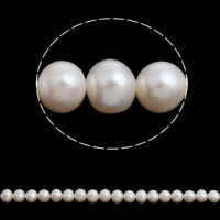 Potato Cultured Freshwater Pearl Beads, natural, white, Grade AA, 7-8mm Approx 0.8mm Approx 15.5 Inch 