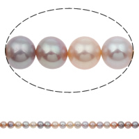 Round Cultured Freshwater Pearl Beads, natural, multi-colored, 8-9mm Approx 0.8mm Approx 15 Inch 