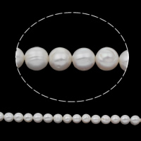 Perlas Patata Freshwater, Perlas cultivadas de agua dulce, natural, Blanco, 10-11mm, agujero:aproximado 0.8mm, longitud:aproximado 14.5 Inch, Vendido por Sarta