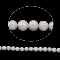 Perlas Patata Freshwater, Perlas cultivadas de agua dulce, natural, Blanco, 11-12mm, agujero:aproximado 0.8mm, longitud:aproximado 15 Inch, Vendido por Sarta