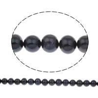 Potato Cultured Freshwater Pearl Beads, black, 11-12mm Approx 0.8mm Approx 15 Inch 