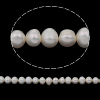 Potato Cultured Freshwater Pearl Beads, natural, white, 6-7mm Approx 0.8mm Approx 14 Inch 