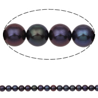 Round Cultured Freshwater Pearl Beads, black, 7-8mm Approx 0.8mm Approx 16 Inch 