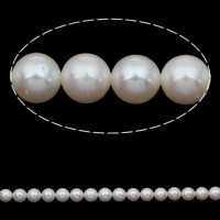 Round Cultured Freshwater Pearl Beads, natural, white, 7-8mm Approx 0.8mm Approx 15.5 Inch 