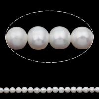 Round Cultured Freshwater Pearl Beads, Slightly Round, natural, white, 7-8mm Approx 0.8mm Approx 15 Inch 