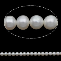 Potato Cultured Freshwater Pearl Beads, natural, white, 4-5mm Approx 0.8mm Approx 15.5 Inch 