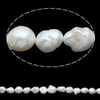 Perles de culture d'eau douce Keishi, perle d'eau douce cultivée, baroque, naturel, blanc, 11-12mm, Vendu par brin