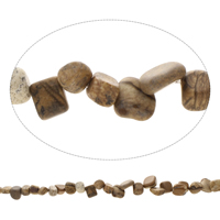 Landschafts-Jaspis Perlen, Bild Jaspis, Klumpen, natürlich, 7x8x6mm-10x14x8mm, Bohrung:ca. 1mm, Länge:ca. 15.5 ZollInch, ca. 50PCs/Strang, verkauft von Strang