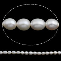 Perles d'eau douce de culture de riz, perle d'eau douce cultivée, naturel, blanc, 6-7mm Environ 0.8mm Environ 14.5 pouce, Vendu par brin