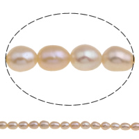 Perlas Arroz Freshwater, Perlas cultivadas de agua dulce, natural, Rosado, 5-6mm, agujero:aproximado 0.8mm, longitud:aproximado 15 Inch, Vendido por Sarta