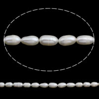 Perles d'eau douce de culture de riz, perle d'eau douce cultivée, naturel, blanc, 6-7mm Environ 0.8mm Environ 14 pouce, Vendu par brin