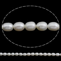 Perlas Arroz Freshwater, Perlas cultivadas de agua dulce, natural, Blanco, 5-6mm, agujero:aproximado 0.8mm, longitud:aproximado 15 Inch, Vendido por Sarta