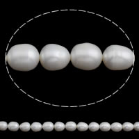 Perlas Arroz Freshwater, Perlas cultivadas de agua dulce, natural, Blanco, 11-12mm, agujero:aproximado 0.8mm, longitud:aproximado 15.5 Inch, Vendido por Sarta