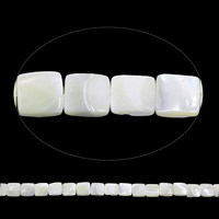 Natural White Shell Beads, Square - Approx 1mm Approx 15.5 Inch, Approx 