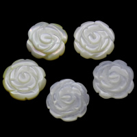Weiße Muschel Cabochon, Blume, natürlich, flache Rückseite, weiß, 11x2.5mm, verkauft von PC