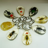 Resin Key Chain, with Zinc Alloy, Teardrop, platinum color plated, animal design & mixed pattern 