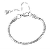 Stainless Steel European Bracelet Chain & snake chain, original color [
