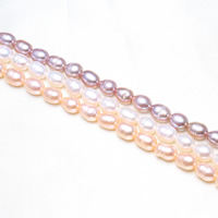 Rice Cultured Freshwater Pearl Beads, natural 5-6mm Approx 0.8mm Approx 15.5 Inch 