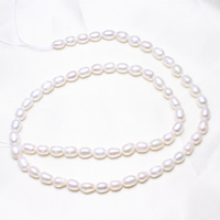 Rice Cultured Freshwater Pearl Beads, natural, white, 4-5mm Approx 0.8mm Approx 15.5 Inch 
