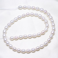 Perles d'eau douce de culture de riz, perle d'eau douce cultivée, naturel, blanc, 6-7mm Environ 0.8mm Environ 15.5 pouce, Vendu par brin