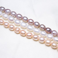 Perlas Arroz Freshwater, Perlas cultivadas de agua dulce, natural, más colores para la opción, 8-9mm, agujero:aproximado 0.8mm, longitud:aproximado 15.5 Inch, Vendido por Sarta