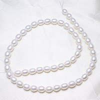 Rice Cultured Freshwater Pearl Beads, natural, white, 6-7mm Approx 0.8mm Approx 15.5 Inch 