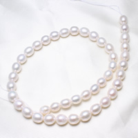 Perles d'eau douce de culture de riz, perle d'eau douce cultivée, naturel, blanc, 8-9mm Environ 0.8mm Environ 15.5 pouce, Vendu par brin
