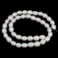 Perles d'eau douce de culture de riz, perle d'eau douce cultivée, naturel, blanc, 8-9mm Environ 2mm Environ 15 pouce, Vendu par brin
