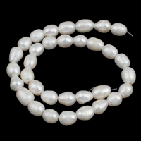 Perlas Arroz Freshwater, Perlas cultivadas de agua dulce, Keishi, natural, Blanco, 10-11mm, agujero:aproximado 2mm, longitud:aproximado 15.3 Inch, Vendido por Sarta