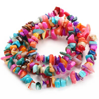 Natural Freshwater Shell Beads, Nuggets, mixed colors, 8-12mm Approx 1.5mm Approx 31 Inch, Approx 