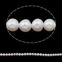 Round Cultured Freshwater Pearl Beads, natural, white, Grade AA, 5-6mm Approx 0.8mm Approx 15.5 Inch 