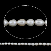 Perlas Arroz Freshwater, Perlas cultivadas de agua dulce, natural, Blanco, 6-7mm, agujero:aproximado 0.8mm, Vendido por Sarta