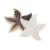 Coquille bijoux Cabochon, étoile de mer, naturel, plus de couleurs à choisir Vendu par PC