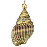 Trompette Shell pendentif en laiton, coquille de trompette, avec laiton, conque, Placage de couleur d'or Environ 3.5mm, Vendu par PC