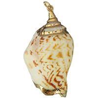 Trumpet Shell Pendant, with Brass, Conch, gold color plated Approx 3mm 