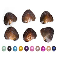 Freshwater Cultured Love Wish Pearl Oyster, Rice, mother of Pearl 7.5-8mm 