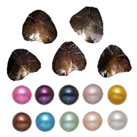 Freshwater Cultured Love Wish Pearl Oyster, Potato, mother of Pearl, mixed colors, 7-8mm 