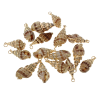 Trumpet Shell Pendant, Helix, gold color plated, speckled, 16-36x1.7-27mm 