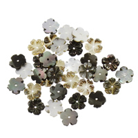 Perlas De Concha Del Labio Negro, Nácar Negra, Flor, 8x1.5mm, agujero:aproximado 0.5mm, Vendido por UD