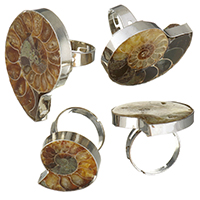 El anillo de dedo unisex, Nácar Trompeta, con metal, Concha, chapado en color de plata, unisexo, 21-32x26-39mm, tamaño:8, Vendido por UD