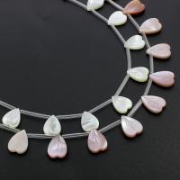 Natural Freshwater Shell Beads, Heart - Approx 0.5mm Approx 9.5 Inch, Approx 