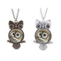 Zinc Alloy Necklace, with iron chain & Glass, with 58cm extender chain, Owl, plated, time gem jewelry & oval chain & for woman & decal lead & cadmium free, 25mm Approx 17.5 Inch 