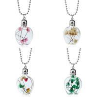 Glass Globe Necklace, with Dried Flower & Zinc Alloy, Light Bulb, ball chain & for woman 28mm Approx 19.5 Inch 