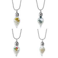 Glass Globe Necklace, with Dried Flower & Crystal & Zinc Alloy, Light Bulb, ball chain & for woman 28mm Approx 19.5 Inch 