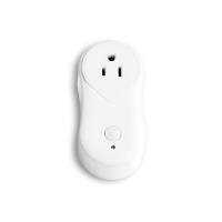 ABS Plastic Smart Home Appliances Socket, Wireless & With Remote Control 